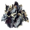 DRIED BLACK FUNGUS PREMIUM QUALITY NATURAL WOOD EAR MUSHROOM BULK WHOLESALE EXPORT SUPPLY HOT DEAL TOP SALES BEST PRICE