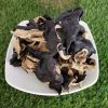 DRIED BLACK FUNGUS PREMIUM QUALITY NATURAL WOOD EAR MUSHROOM BULK WHOLESALE EXPORT SUPPLY HOT DEAL TOP SALES BEST PRICE