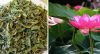 IMPERIAL LOTUS TEA LEA...