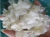 HOT DEAL DRIED FISH SC...