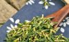 BEST SELLING DRIED LOTUS HEART TEA CLEAN LABEL CAFFEINE FREE PRODUCT WITH LOW PRICE