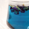 BEST SELLING ORGANIC BLUE TEA WHOLESALE MADE IN VIETNAM WITH HIGH ANTHOCYANIN CONTENT
