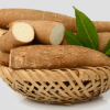 IQF FROZEN CASSAVA | C...
