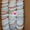WHOLESALE SCALLOP SHEL...