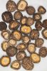 ORGANIC SHIITAKE MUSHR...