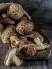 PREMIUM SHIITAKE MUSHR...