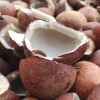 BULK EXPORT DRIED COCO...
