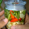 WHOLESALE PICKLED GREE...