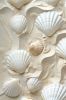 SCALLOP SHELL FOR SEAF...