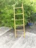 PREMIUM BAMBOO LADDER ...