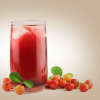 PREMIUM ACEROLA JUICE ...
