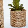 TOP SELLING RATTAN PLA...