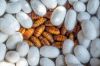 BEAUTY-GRADE SILK COCO...