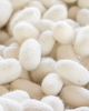 PREMIUM SILK COCOON FO...