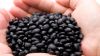 PREMIUM BLACK BEAN POW...