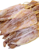 WHOLESALE DRIED SQUID ...