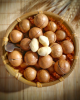 HIGH QUALITY MACADAMIA...
