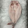 FROZEN PANGASIUS FILLE...