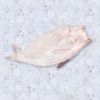 IQF FROZEN PANGASIUS F...