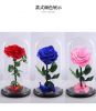 Wholesale preserved decorative roses flower in glass