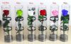 Top quality single head preserved fresh flower rose with stem