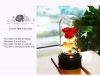 Latest preserved rose dried flower with led light in glass dome led