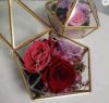 Wholesale preserved stabilised eternal rose flowers in glass dome