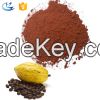 wholesale price dutch processed raw organic cocoa powder fat 10-12