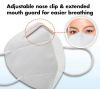 N95 Surgical Mask