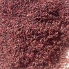 Hibiscus Red Sorrel