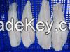 Frozen Pangasius Fillet, Well-trimmed