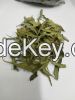 stevia dry leaves and ...