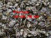 dried lime slice/ dried calamansi slice