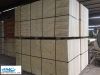 VIETNAM PACKING PLYWOOD