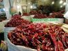 DRIED CHILI FOR MIDDLE...
