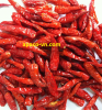 DRIED CHILI FOR MIDDLE...