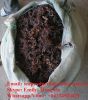 Dried Sagassum Seaweeds