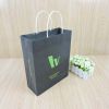 Customized luxury paper shopping bag, Factory hotsell paper bag gift packaging