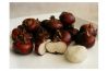 frozen water chestnut ...