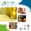 soy lecithin powder manufacturer from China