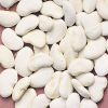 Dry Lima Beans Large White Lima Bean for sale 