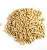  Animal Feed Barley For Sale 