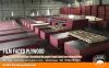 concrete formwork shuttering plywood