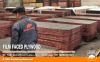 concrete formwork shuttering plywood