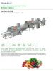 Vegetable and fruit cleaning and drying processing line