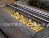 Vegetable and fruit cleaning and drying processing line