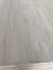 New zealand pinus radi...
