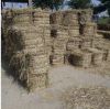 Rice Straw (High grade from Pakistan)