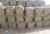 Rice Straw (High grade from Pakistan)