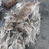 Dry salted Donkey Hides and Cow Hides, cattle Hides, animal skin, Goats, Horses